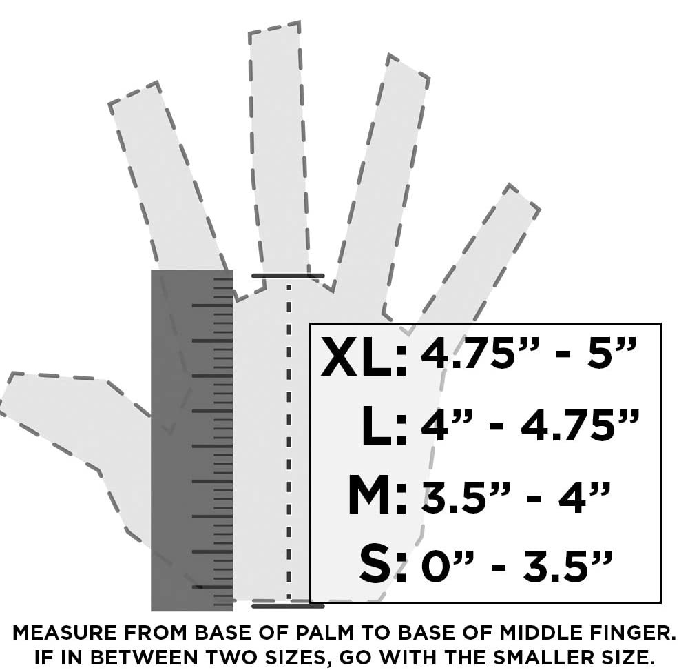 61RkGMZmRxL._AC_SL1000_